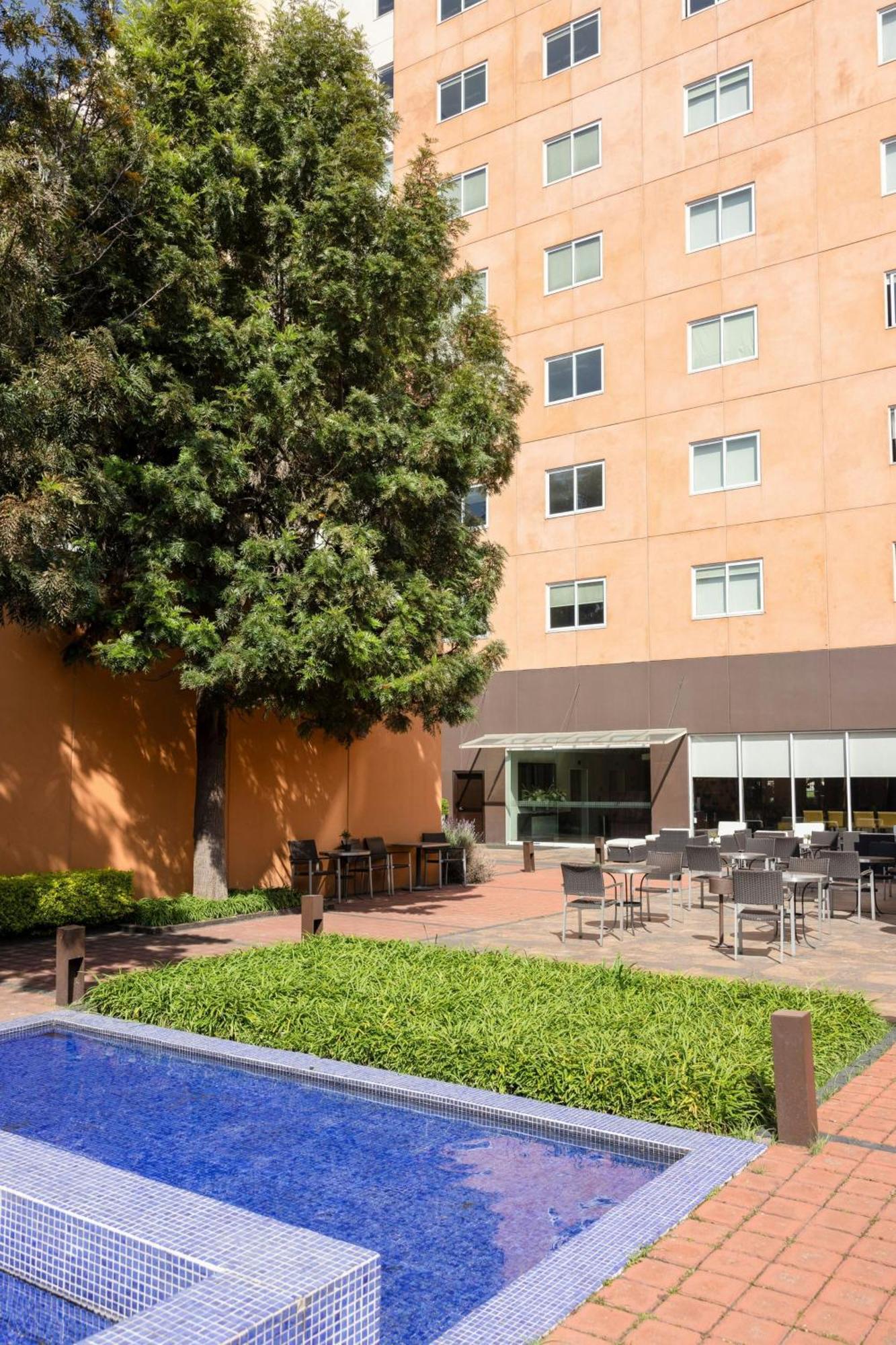 Courtyard Toluca Tollocan Dış mekan fotoğraf